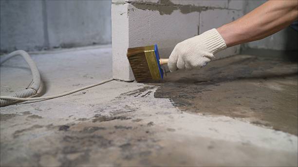 SJ Waterproofing Pros Crawl Space Encapsulation coverage map for Bliss, NY and surrounding area